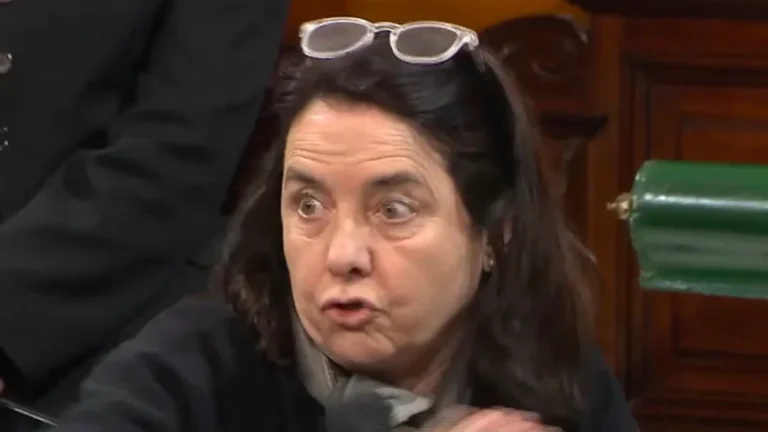 «No creo que los niños tengan derecho a ser curados en el Garrahan»: polémica frase de una senadora