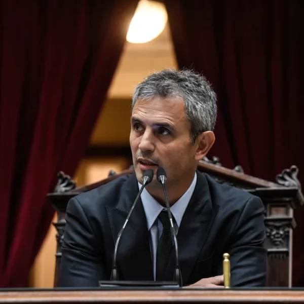 Acusan a Menem de “cajonear” los últimos proyectos de ley aprobados en Diputados