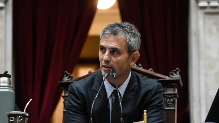 Acusan a Menem de “cajonear” los últimos proyectos de ley aprobados en Diputados
